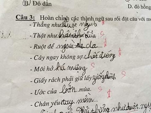 Siêu phẩm sáng tạo khi học sinh cấp 1 điền thành ngữ khiến cô giáo đứng hình - Ảnh 1.