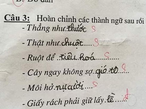 Siêu phẩm sáng tạo khi học sinh cấp 1 điền thành ngữ khiến cô giáo đứng hình - Ảnh 2.