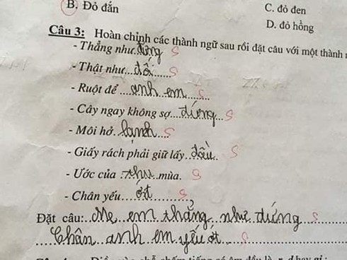 Siêu phẩm sáng tạo khi học sinh cấp 1 điền thành ngữ khiến cô giáo đứng hình - Ảnh 3.