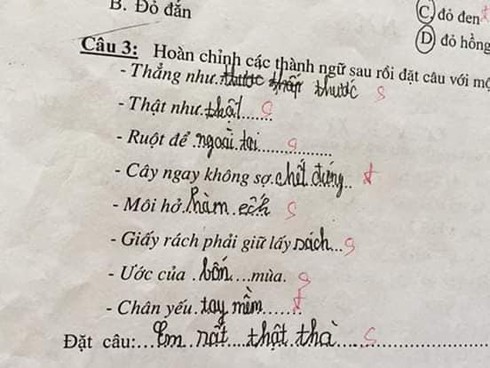 Siêu phẩm sáng tạo khi học sinh cấp 1 điền thành ngữ khiến cô giáo đứng hình - Ảnh 4.