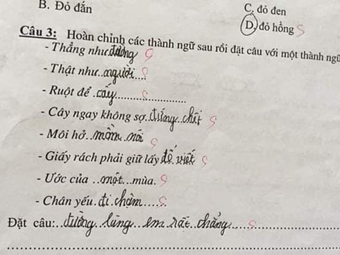 Siêu phẩm sáng tạo khi học sinh cấp 1 điền thành ngữ khiến cô giáo đứng hình - Ảnh 5.