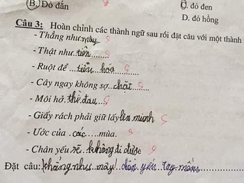 Siêu phẩm sáng tạo khi học sinh cấp 1 điền thành ngữ khiến cô giáo đứng hình - Ảnh 6.