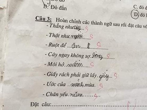 Siêu phẩm sáng tạo khi học sinh cấp 1 điền thành ngữ khiến cô giáo đứng hình - Ảnh 7.