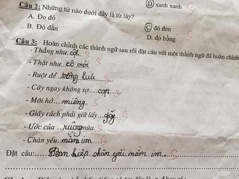 Siêu phẩm sáng tạo khi học sinh cấp 1 điền thành ngữ khiến cô giáo đứng hình - Ảnh 9.