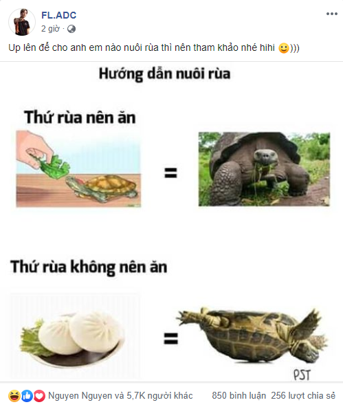 Gắt như ADC: Lên ngôi vô địch vẫn không quên cà khịa cực nét để trả đũa Turtle - Ảnh 4.