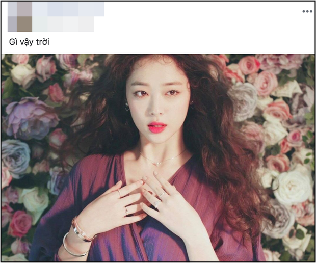 Fanpage của Sulli ở Việt Nam chính thức đóng cửa sau cái chết đột ngột của cựu thành viên F(x) - Ảnh 3.