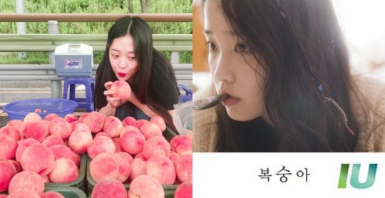 Netizen chửi bới IU sau khi Sulli qua đời, nào đâu biết nữ ca sĩ chính là bạn thân luôn ở bên Sulli mặc scandal, sáng tác rất nhiều bài hát về bạn mình - Ảnh 3.