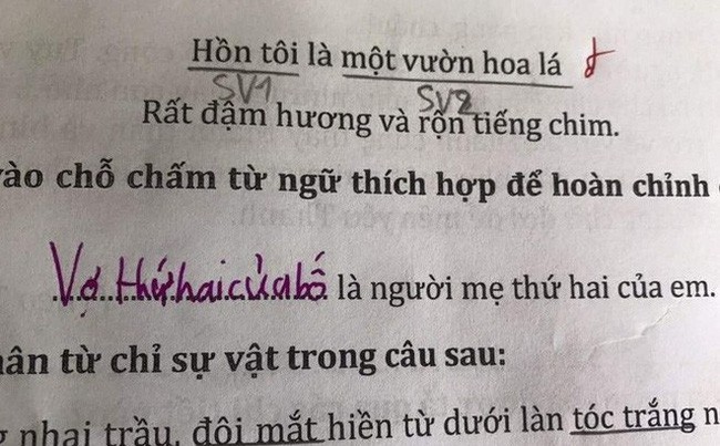 Trong giờ học cô giáo hỏi hạnh phúc là gì?, học sinh đưa ra câu trả lời khiến cô cũng phải câm nín - Ảnh 2.