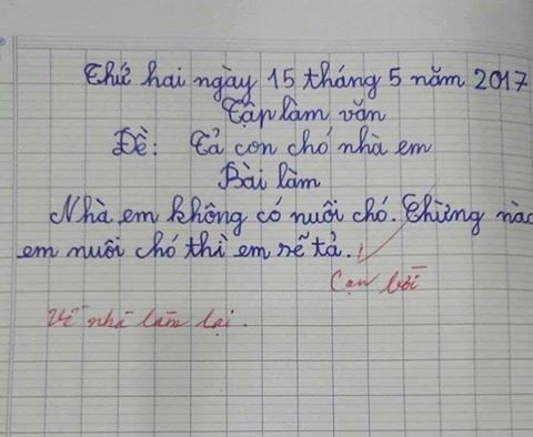 Trong giờ học cô giáo hỏi hạnh phúc là gì?, học sinh đưa ra câu trả lời khiến cô cũng phải câm nín - Ảnh 3.