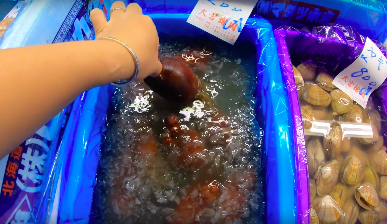 Hốt hoảng món “dứa biển” trong vlog mới của Quỳnh Trần JP: tưởng thực vật nhưng hoá ra lại là động vật, ăn vào còn có thể bị... “nghiện”? - Ảnh 2. Hốt hoảng món “dứa biển” trong vlog mới của Quỳnh Trần JP: tưởng thực vật nhưng hoá ra lại là động vật, ăn vào còn có thể bị... “nghiện”? - Ảnh 2.