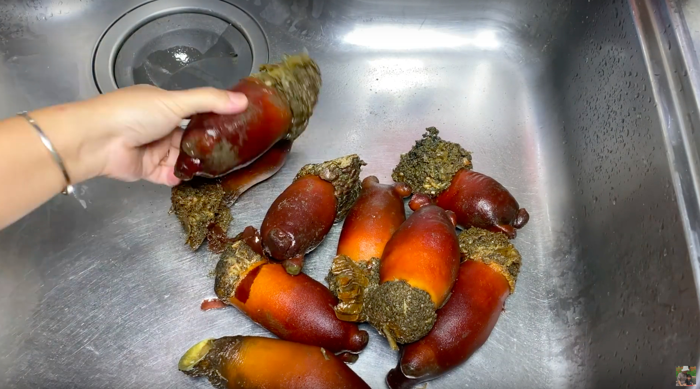 Hốt hoảng món “dứa biển” trong vlog mới của Quỳnh Trần JP: tưởng thực vật nhưng hoá ra lại là động vật, ăn vào còn có thể bị... “nghiện”? - Ảnh 3. Hốt hoảng món “dứa biển” trong vlog mới của Quỳnh Trần JP: tưởng thực vật nhưng hoá ra lại là động vật, ăn vào còn có thể bị... “nghiện”? - Ảnh 3.