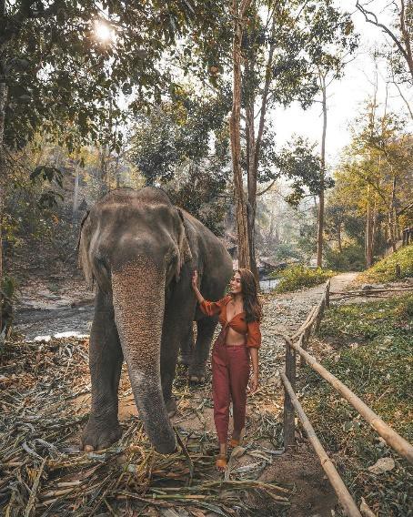 Xu hướng nhờ voi gọi dậy ăn sáng của giới trẻ ở Thái Lan: Mới nghe thôi đã thấy nổi da gà - Ảnh 22.