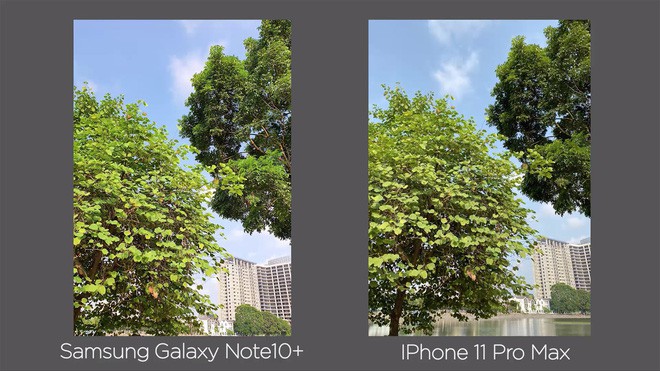 So tài chụp ảnh của iPhone 11 Pro Max và Galaxy Note10+: Kẻ tám lạng. người nửa cân - Ảnh 4.