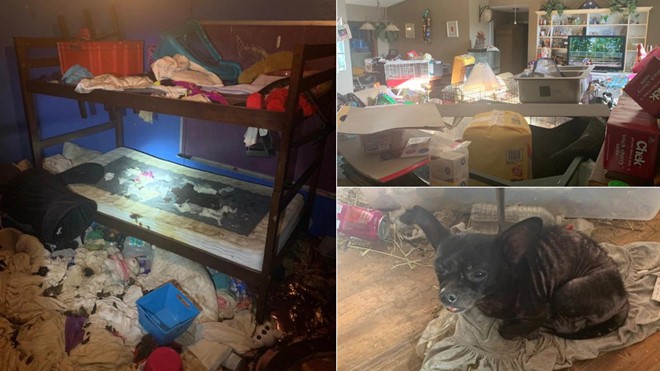 Cặp vợ chồng để 3 con nhỏ sống trong căn nhà ngập ngụa rác và chất thải của 245 con vật, đến cảnh sát cũng phải ngán ngẩm - Ảnh 1.