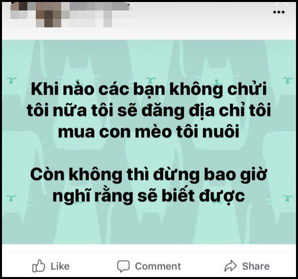 Vụ gái xinh mua mèo bị cà khịa: Xuất hiện tài khoản Facebook giả mạo nam chính 1 cách tinh vi, tiếp tục kích war - Ảnh 3.