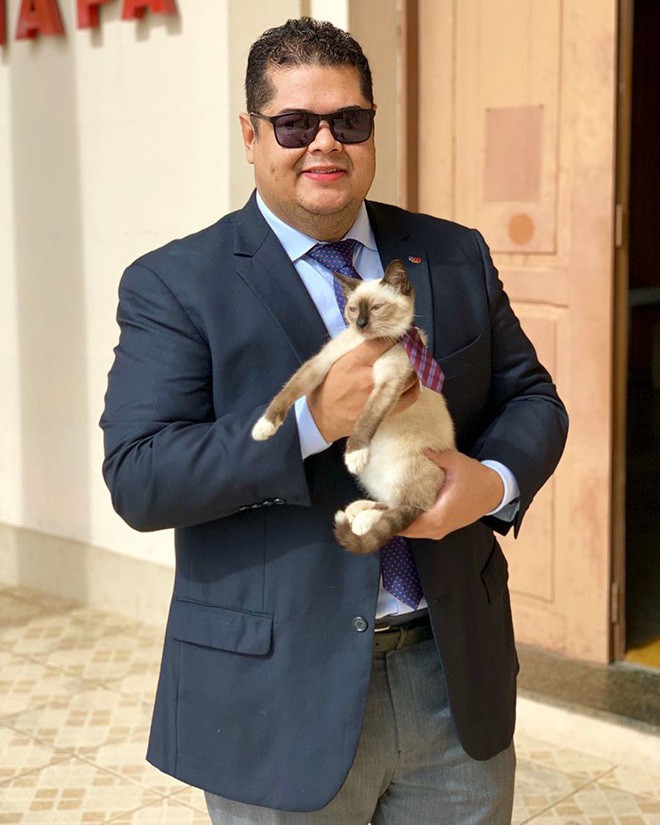 Boss mèo mặt dày lởn vởn ở văn phòng Hiệp hội Luật sư Brazil suốt 1 tuần liền, sau đấy được nhận vào làm chính thức luôn - Ảnh 4.