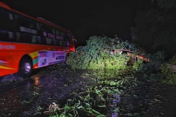 Bão đổ bộ trong đêm, cây ngã đổ la liệt, nhiều địa phương ở Phú Yên, Bình Định mất điện - Ảnh 5.