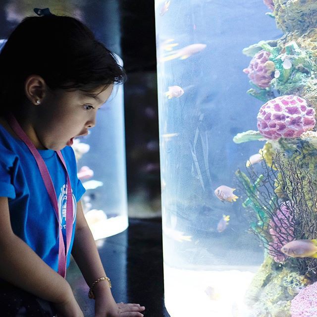 Mỹ nhân đẹp nhất Philippines Marian Rivera khoe lần đầu con gái tới thủy cung, biểu cảm đáng yêu của Zia gây sốt mạng xã hội - Ảnh 5.