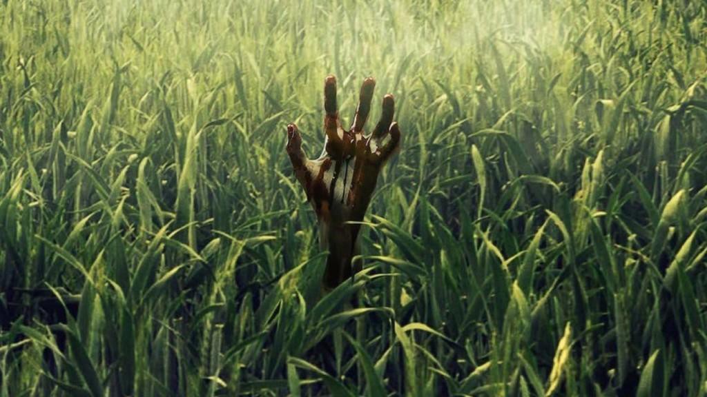 Review bom tấn kinh dị In The Tall Grass: V&agrave;i cọng cỏ xanh đu đưa cũng khiến ối người yếu b&oacute;ng v&iacute;a phải đ&oacute;ng bỉm - Ảnh 7.