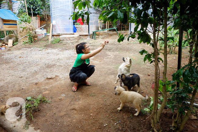 Dân mạng phẫn nộ vì Quán của thời thanh xuân ở Đà Lạt bị trộm ghé ăn cắp tiền, còn lấy đi cả... lọ muối tôm - Ảnh 9.