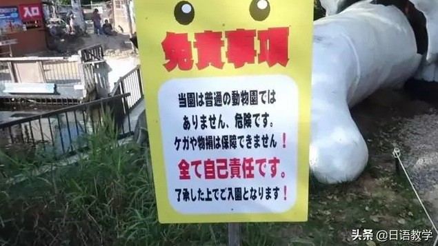 Sở thú nguy hiểm nhất nước Nhật, muốn vào phải ký bản cam kết tử thần nhưng vẫn thu hút rất đông khách du lịch tò mò ghé thăm - Ảnh 2.