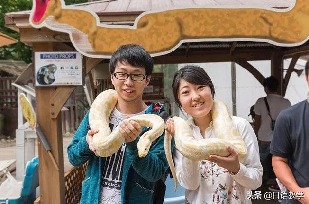 Sở thú nguy hiểm nhất nước Nhật, muốn vào phải ký bản cam kết tử thần nhưng vẫn thu hút rất đông khách du lịch tò mò ghé thăm - Ảnh 5.