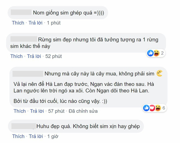 Đại chiến phim Việt mùa cuối năm 2019: Tình học trò Mắt Biếc có làm lại tình thù của Chị Chị Em Em? - Ảnh 8.