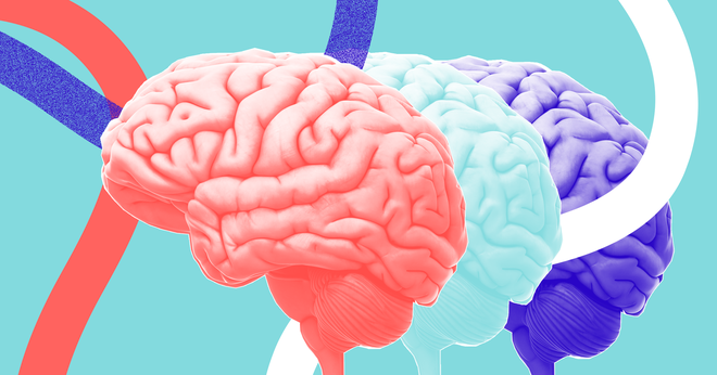 Khi não bộ bị lag: Các nhà khoa học có thể đọc suy nghĩ để biết bạn sắp làm gì trong 11 giây tới - Ảnh 2.