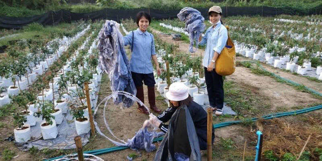 Hậu lễ hội thả đèn trời Thái Lan lung linh huyền ảo: Người dân khóc mếu nhặt rác mỏi tay, sân bay hốt hoảng, nhà cháy thành tro - Ảnh 7.