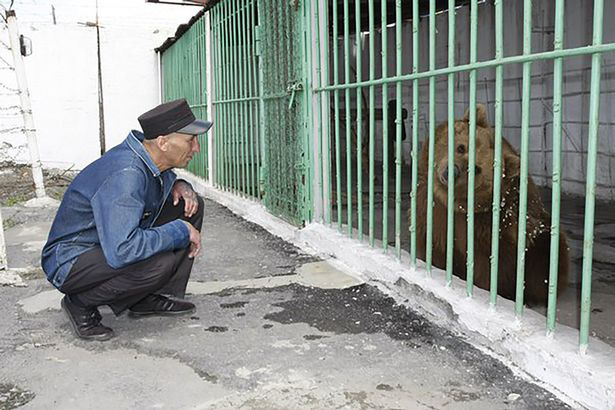 Gấu nâu Katya - nữ tù nhân kì lạ nhất thế giới được ân xá sau khi thụ án 15 năm tù trong một nhà giam toàn tội phạm nguy hiểm - Ảnh 1.