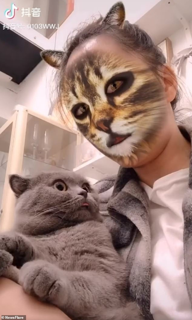 Bị Sen Troll Bằng Cách Dùng Filter Mặt Mèo Trên Camera, Phản Ứng Hoảng Hốt  Của Các Boss Khiến Dân Mạng Không Nhịn Được Cười