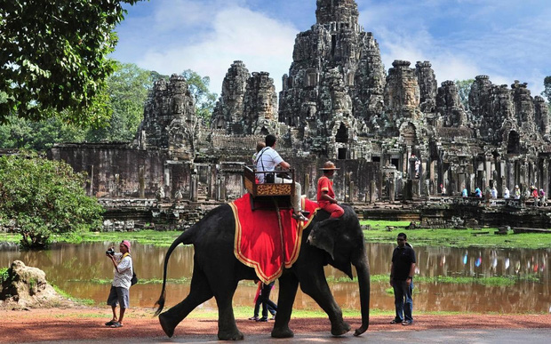 Sau làn sóng phẫn nộ từ dư luận, chính phủ Campuchia chính thức cấm cưỡi voi ở Angkor Wat - Ảnh 1.