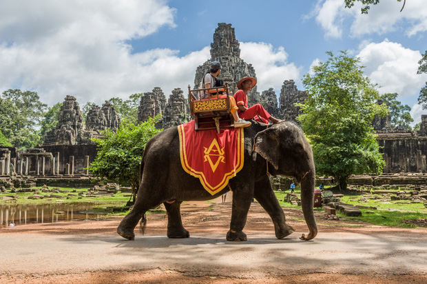 Sau làn sóng phẫn nộ từ dư luận, chính phủ Campuchia chính thức cấm cưỡi voi ở Angkor Wat - Ảnh 4.