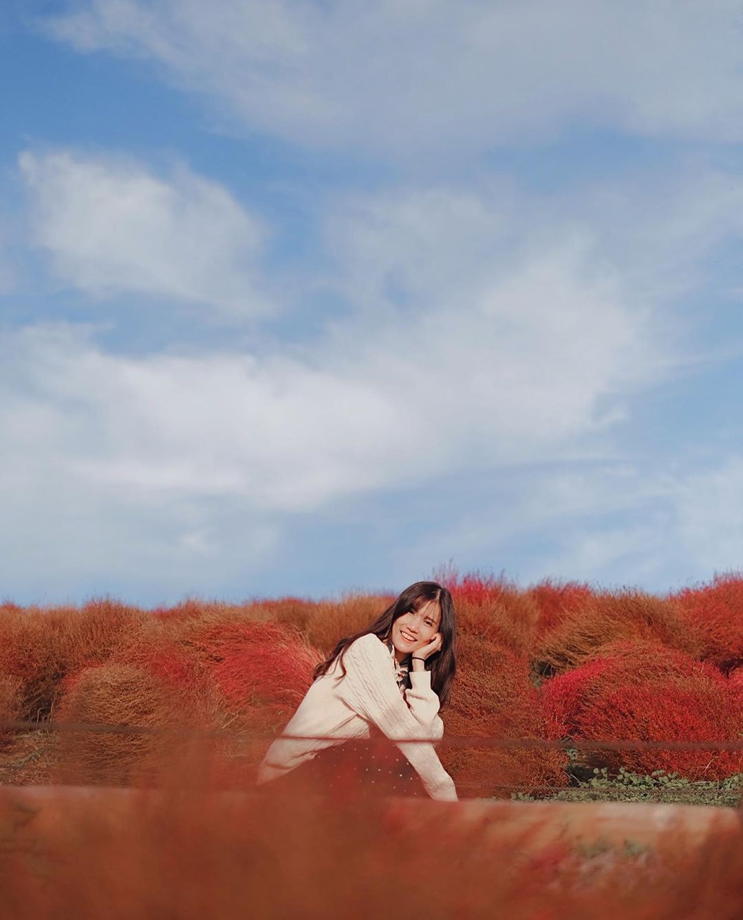 Đẹp nhất Nhật Bản mùa này chính là đồi cỏ Kochia đỏ rực, du khách đua nhau check-in đông không thấy lối đi - Ảnh 16.
