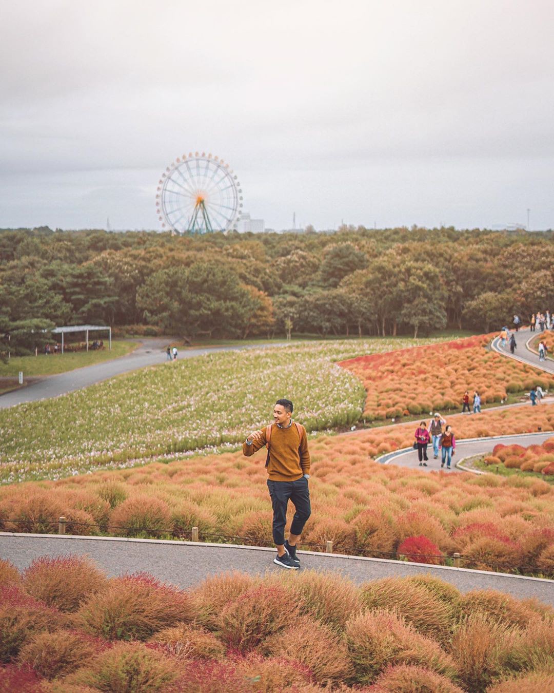 Đẹp nhất Nhật Bản mùa này chính là đồi cỏ Kochia đỏ rực, du khách đua nhau check-in đông không thấy lối đi - Ảnh 9.