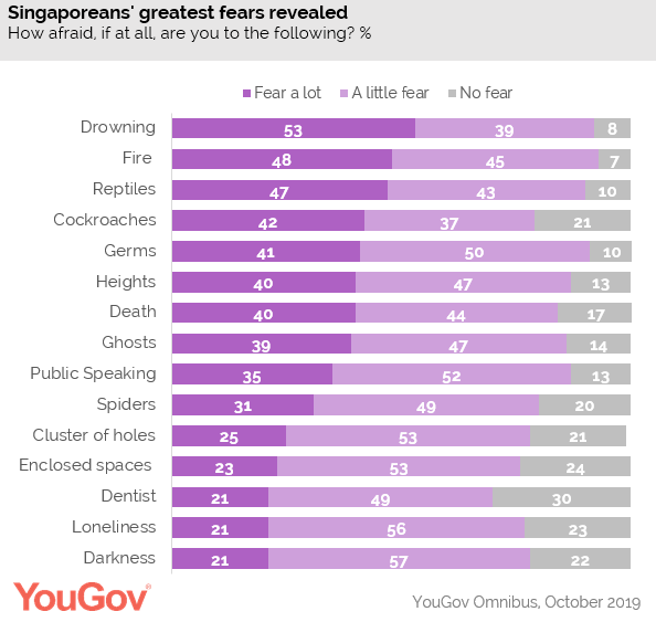 Khảo sát mới cho thấy người Singapore sợ gián hơn cả sợ chết - Ảnh 1.