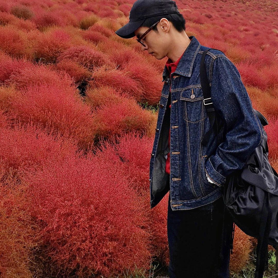 Đẹp nhất Nhật Bản mùa này chính là đồi cỏ Kochia đỏ rực, du khách đua nhau check-in đông không thấy lối đi - Ảnh 4.