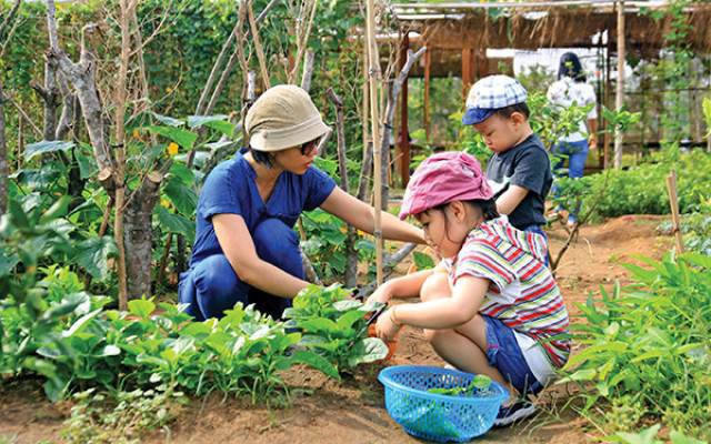 Hô hào quyết tâm nhưng khi làm lại chẳng thấy đâu: Đừng chỉ sống xanh trên mạng xã hội - Ảnh 13.