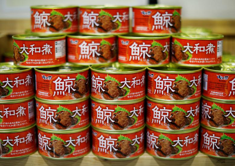 Đăng video ăn thịt cá voi xanh mua ở Nhật khiến dân mạng tranh cãi nảy lửa, Quỳnh Trần JP lên tiếng đáp trả cực gắt - Ảnh 18. Đăng video ăn thịt cá voi xanh mua ở Nhật khiến dân mạng tranh cãi nảy lửa, Quỳnh Trần JP lên tiếng đáp trả cực gắt - Ảnh 18.