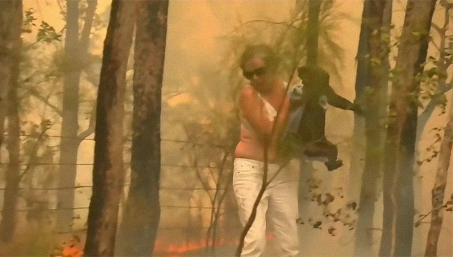Dân mạng xúc động rơi nước mắt với hình ảnh người phụ nữ lao vào đám lửa lớn để giải cứu cho một chú gấu Koala đang bị thương nặng - Ảnh 3.