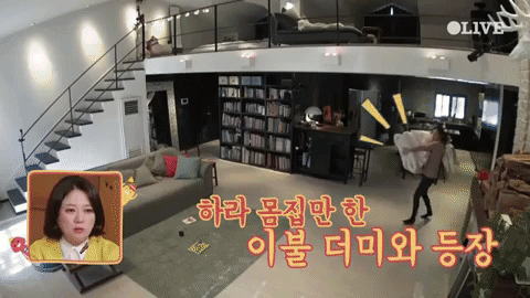 X&oacute;t xa khi nh&igrave;n lại căn nh&agrave; của Goo Hara tr&ecirc;n show truyền h&igrave;nh: Rộng th&ecirc;nh thang nhưng nhuốm m&agrave;u c&ocirc; đơn - Ảnh 6.