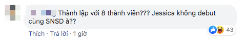 Netizen phản ứng trái chiều khi Taeyeon nhắc đến con số 8 thành viên: Jessica không debut cùng SNSD hay gì? - Ảnh 4.