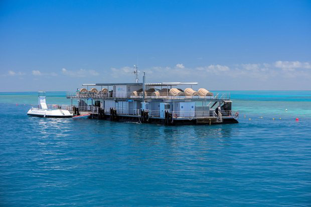 Khách sạn “ba chìm bảy nổi” cho du khách ngủ cùng… cá dưới biển, dịch vụ tuyệt hảo nhưng lại không có wifi - Ảnh 4.