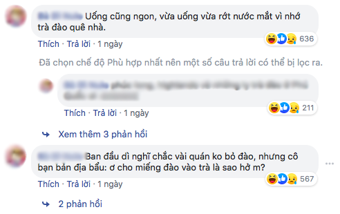 Thêm 1 món nước ngoài bị người Việt “vạch trần”: ly trà đào không hề có miếng đào nào, vị còn như trà đóng chai bán sẵn - Ảnh 5.