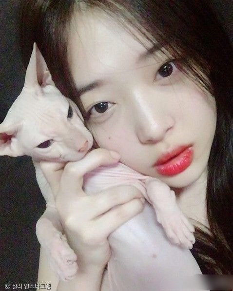 Hình ảnh khiến fan nức nở: Heechul nhận nuôi chú mèo cưng của Sulli sau khi cô qua đời? - Ảnh 5.