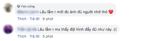 Fan đòi Toki Thành Thỏ trở lại Uni5 khi ngắm nhìn đội hình đầy đủ thành viên trong đám cưới Đông Nhi - Ông Cao Thắng - Ảnh 4.