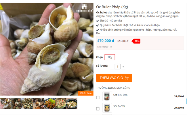 Ốc Bulot Pháp: Từng chả ai ăn, dùng làm mồi cho cá đến chỗ trở thành thực phẩm đắt cả nửa triệu bạc vẫn hết hàng - Ảnh 6.