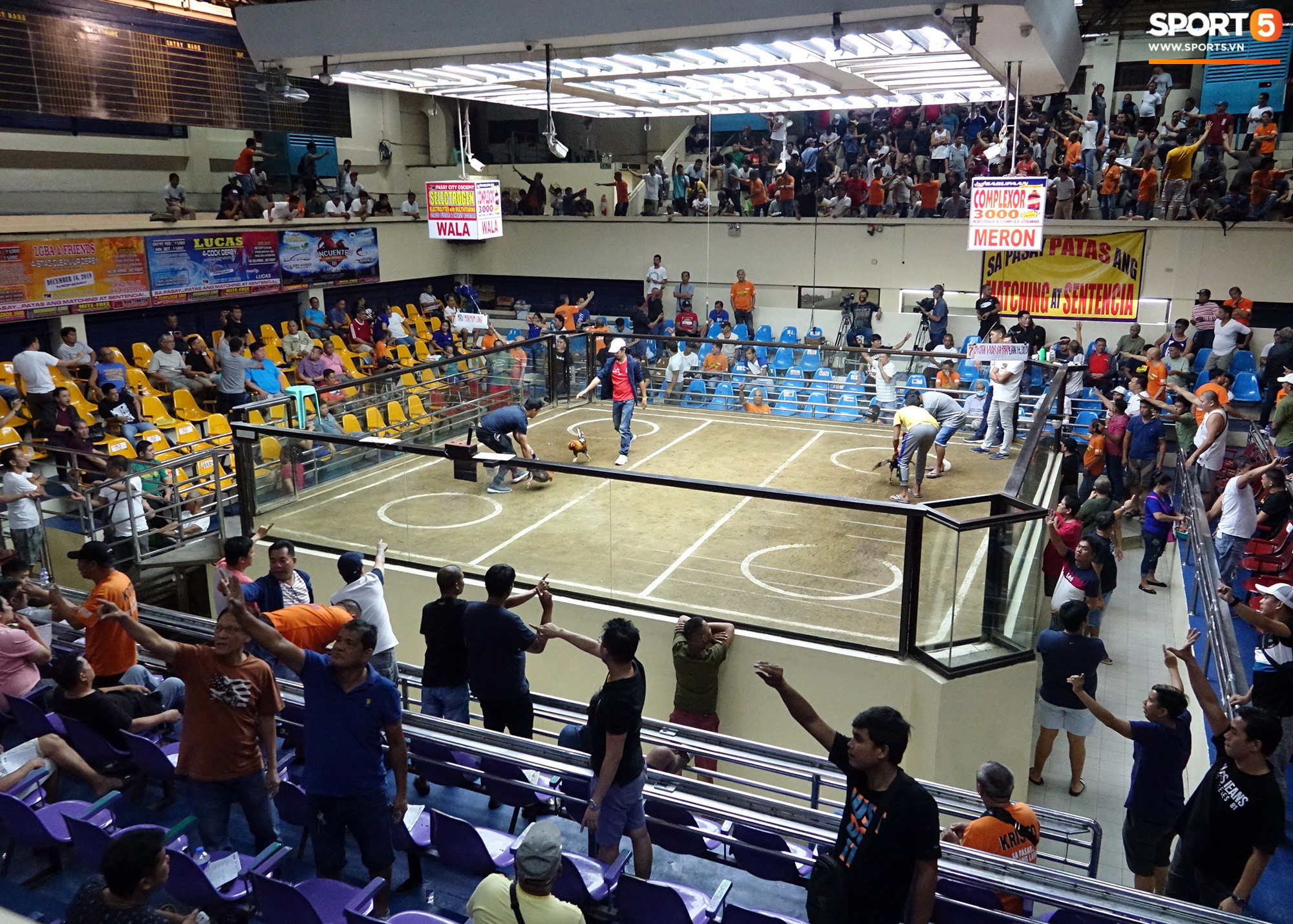 Đá chơi tệ Philippines - Nghệ thuật cựu truyền thắm thiết bản sắc văn hóa truyền thống và tiềm năng nâng cao lên vươn tầm