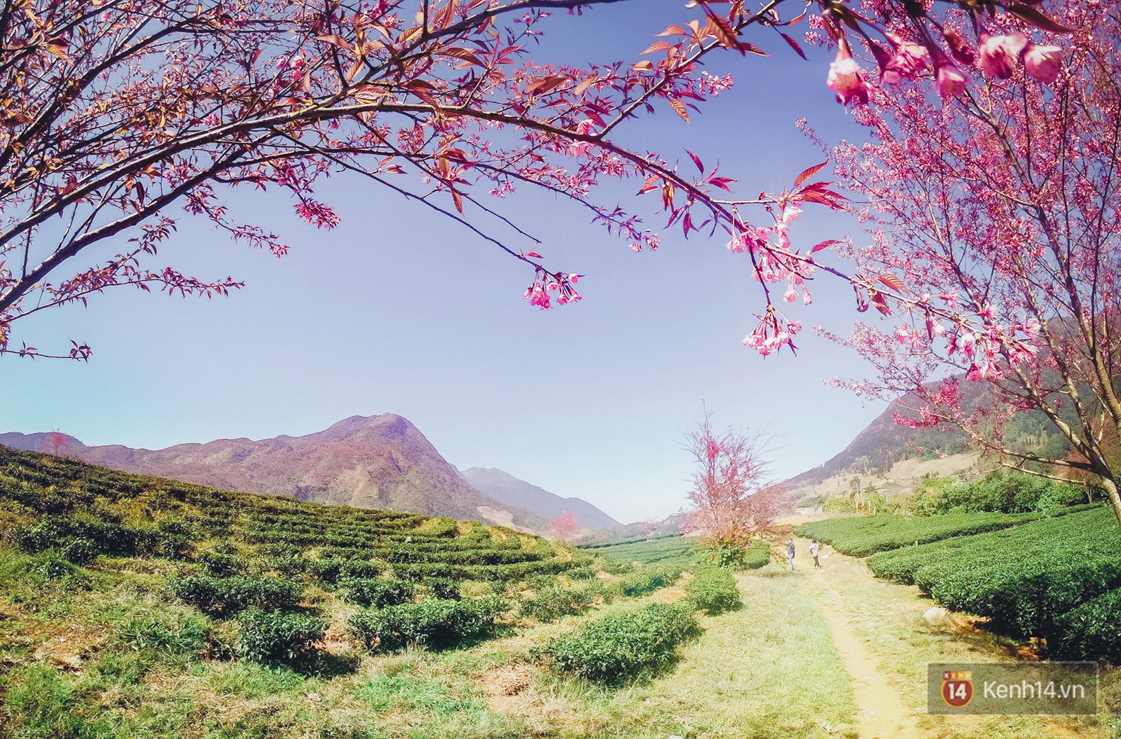 Sapa mùa nào đẹp nhất Sapa mùa nào đẹp nhất