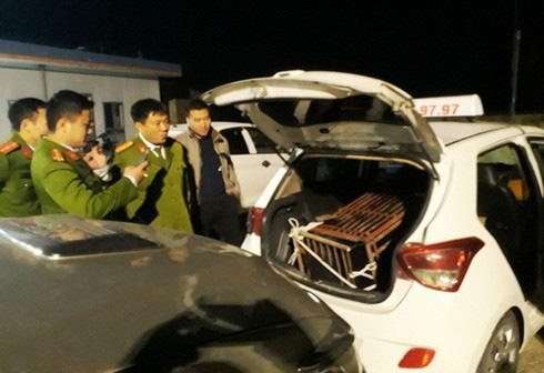 Chở gấu hơn 100kg từ Hà Tĩnh đi Nghệ An tiêu thụ bằng xe taxi - Ảnh 2.